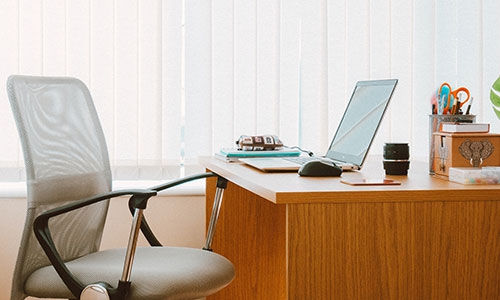 Chrysomelidae vertebrates